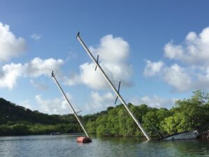 Cariacou Mangroves, vrag med pelikaner