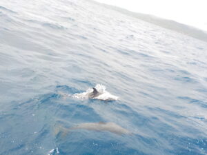 DSCN0742
