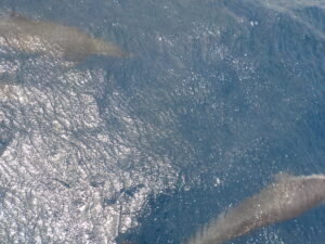 DSCN0763